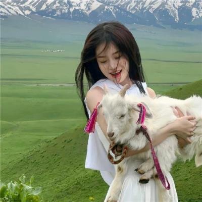 喜羊羊与灰太狼之奇趣外星客